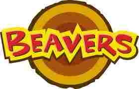 beaver